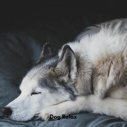 Canine Serenity Suite