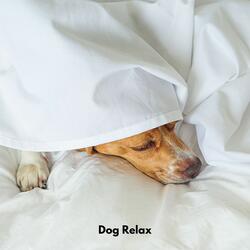 Bark Lullaby Bliss