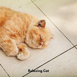 Gentle Paws Melodies