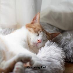 Soft Fur Relaxation Tones