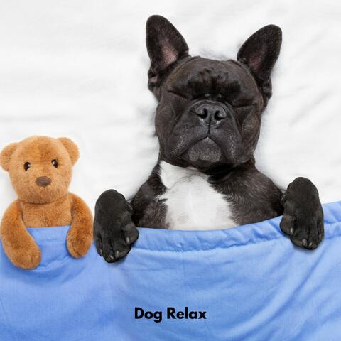 Dog Relax