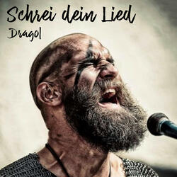 Schrei dein Lied
