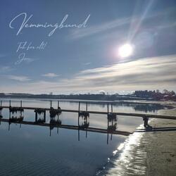 Vemmingbund