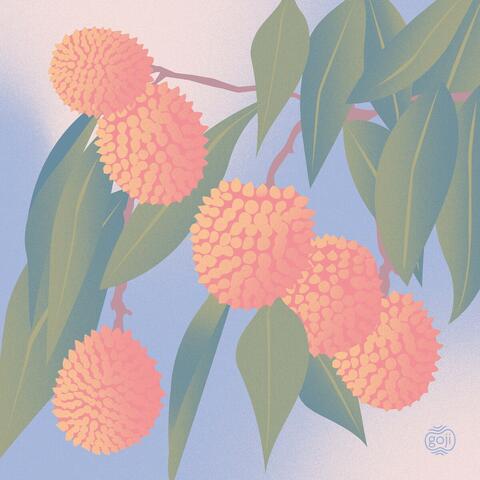 Lychee