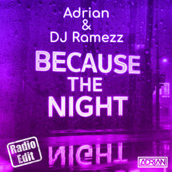 Because the Night