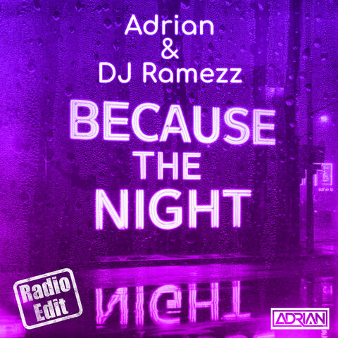 Because the Night