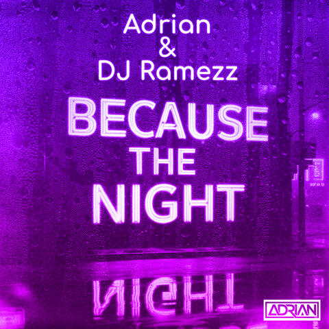 Because the Night