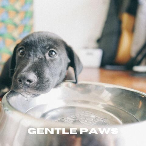 Gentle Paws