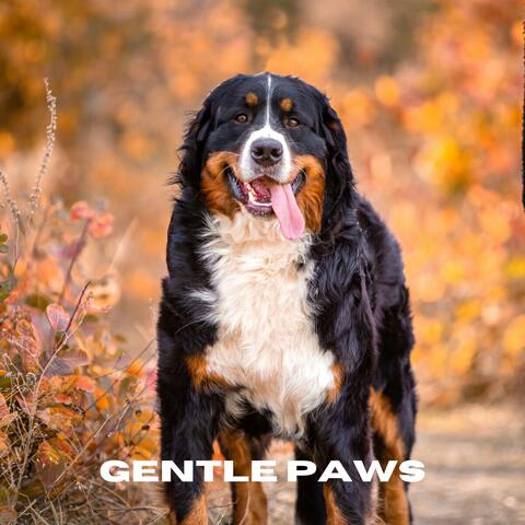 Gentle Paws
