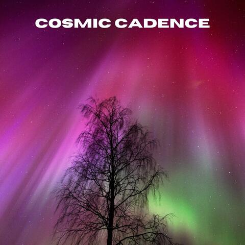 Cosmic Cadence