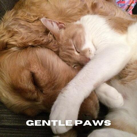 Gentle Paws