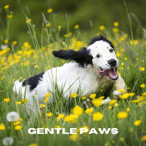 Gentle Paws
