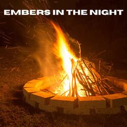 Moonlit Fireside