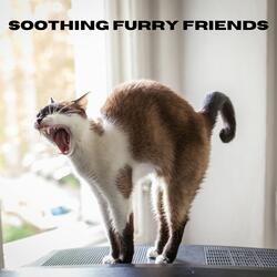 Calm Paws