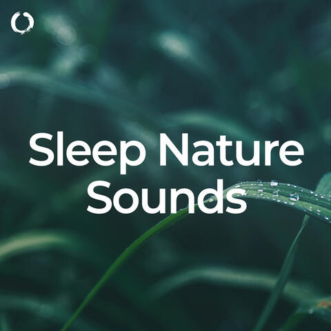 Sleep Nature Sounds
