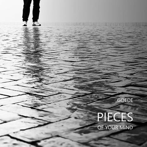 Pieces of Your Mind