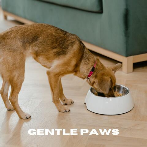 Gentle Paws
