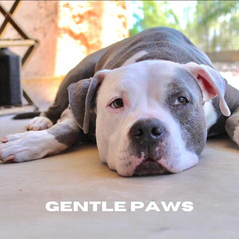 Gentle Paws