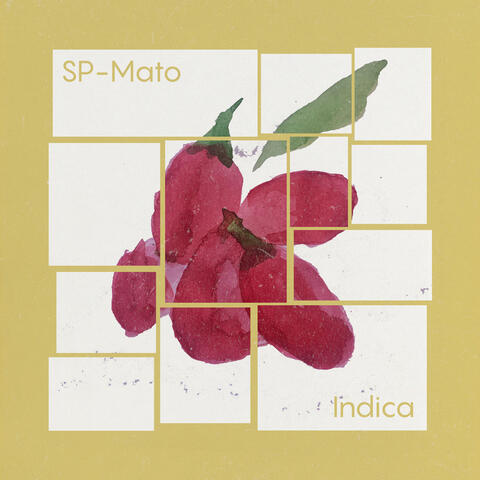 Indica
