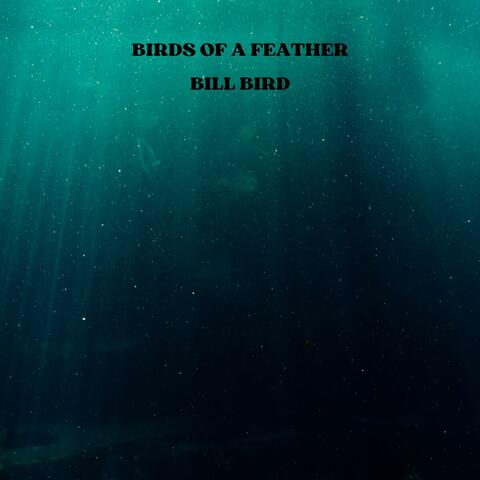 Birds of a Feather