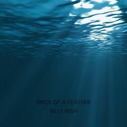 Birds of a Feather