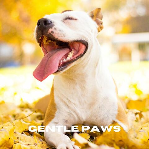Gentle Paws