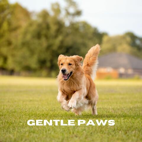 Gentle Paws