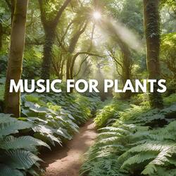 Plant Whisperings