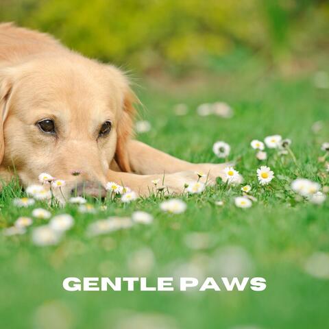 Gentle Paws