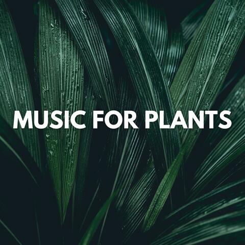 Music for Plants