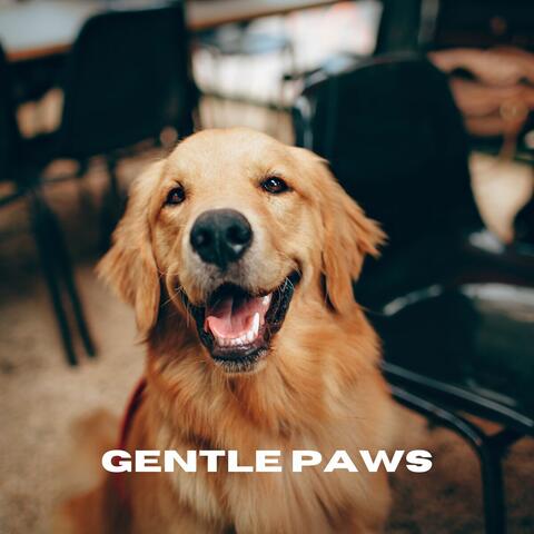 Gentle Paws