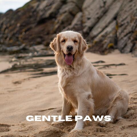 Gentle Paws