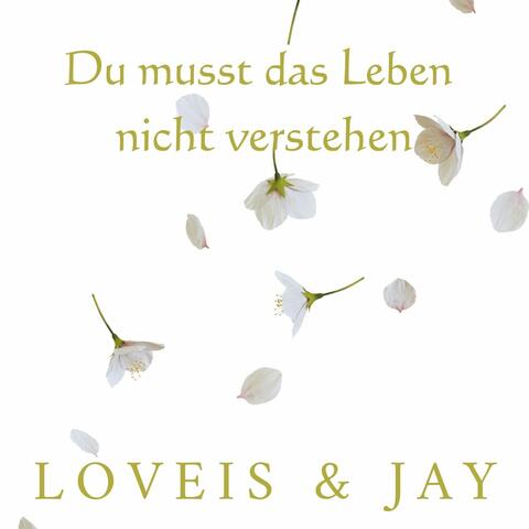 Du musst das Leben nicht verstehen