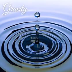 Gravity