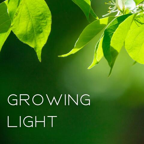 Growing Light