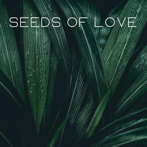 Seeds of Love