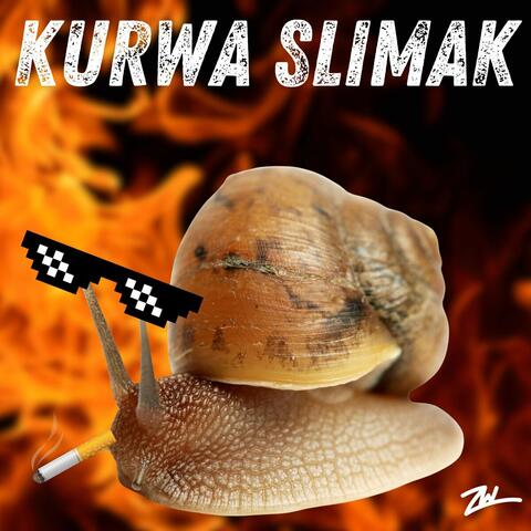 Kurwa Slimak