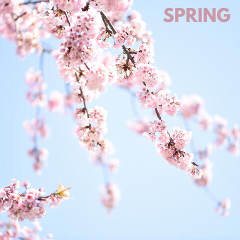 Spring