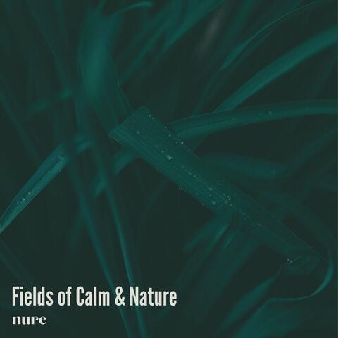 Fields of Calm & Nature