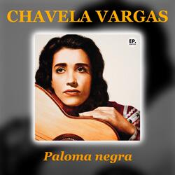 Paloma negra