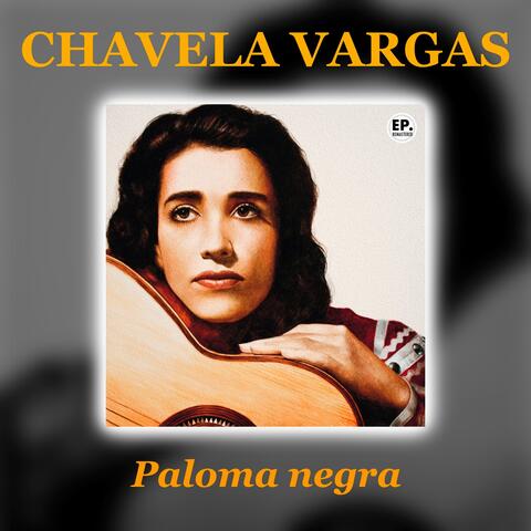 Paloma negra