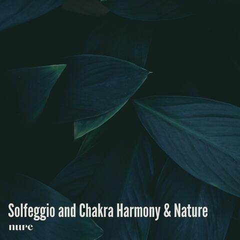 Solfeggio and Chakra Harmony & Nature