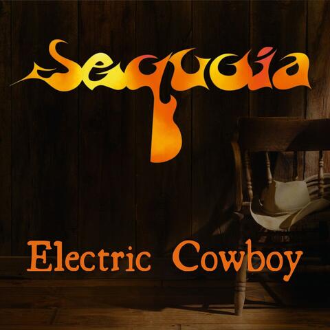 Electric Cowboy