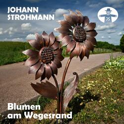 Blumen am Wegesrand