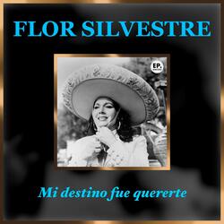 Mi destino fue quererte