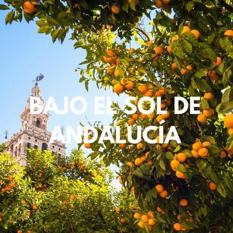 Bajo El Sol De Andalucía