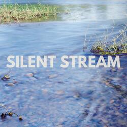 Silent Stream
