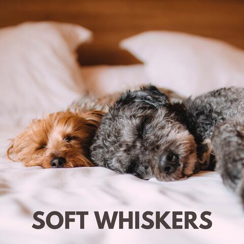 Soft Whiskers