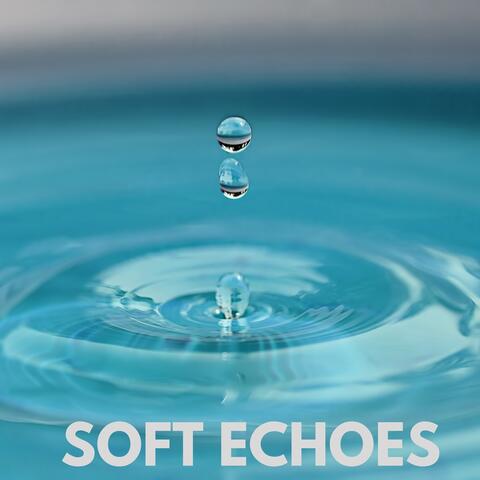 Soft Echoes