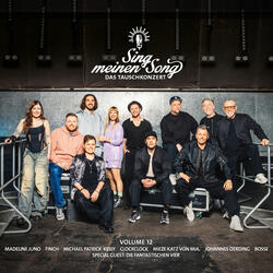Tag am Meer (aus "Sing meinen Song, Vol. 12")
